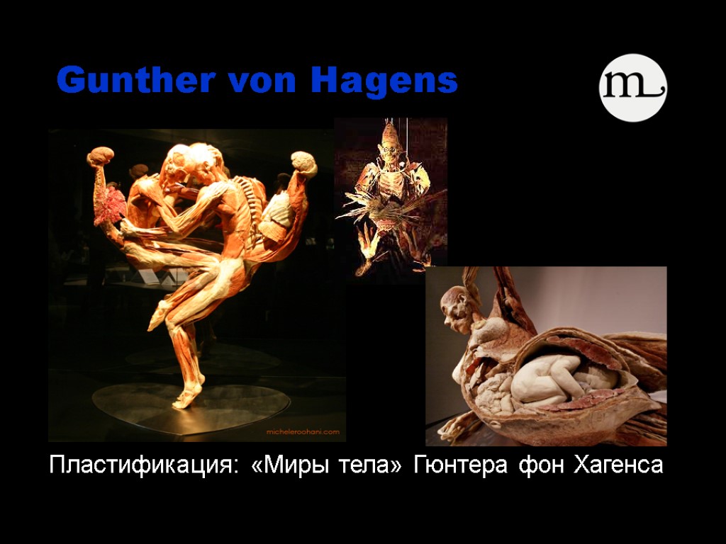 Пластификация: «Миры тела» Гюнтера фон Хагенса Gunther von Hagens